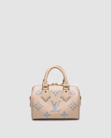 Louis Vuitton Speedy Nano Beige/Blue