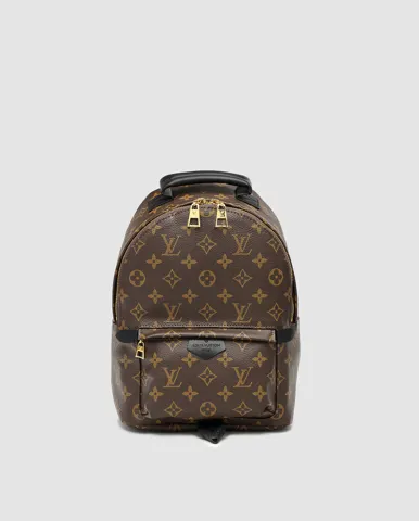 Louis Vuitton Palm Springs PM Brown/Black